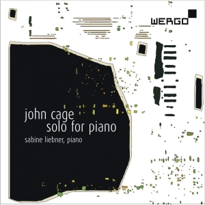 Cage John - Solo For Piano in der Gruppe CD bei Bengans Skivbutik AB (3314236)