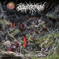 Outer Heaven - Realms Of Eternal Decay in der Gruppe VINYL bei Bengans Skivbutik AB (3317235)