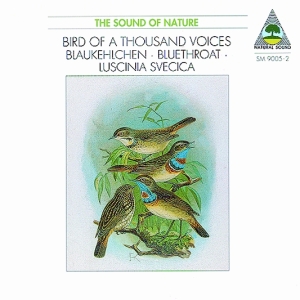 Natural Sound Recorded By Walter Ti - Bluethroat (Luscinia Svenica) - Bir in der Gruppe CD bei Bengans Skivbutik AB (3322409)