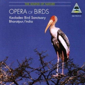 Recordings From The Keoladeo Bird S - Opera Of Birds in der Gruppe UNSERE TIPPS / Weihnachtsgeschenktipp CD bei Bengans Skivbutik AB (3322414)