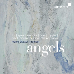 Various - Angels in der Gruppe CD bei Bengans Skivbutik AB (3329204)