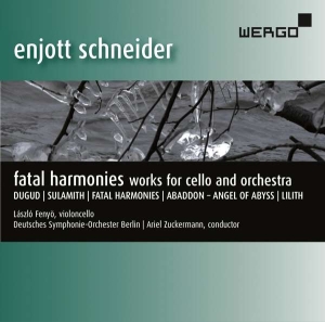 Schneider Enjott - Fatal Harmonies in der Gruppe UNSERE TIPPS / Weihnachtsgeschenktipp CD bei Bengans Skivbutik AB (3335738)