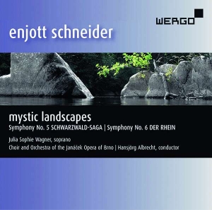 Schneider Enjott - Mystic Landscapes in der Gruppe UNSERE TIPPS / Weihnachtsgeschenktipp CD bei Bengans Skivbutik AB (3335739)