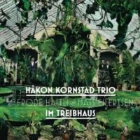 Kornstad Håkon - Im Triebhaus in der Gruppe CD bei Bengans Skivbutik AB (3478291)