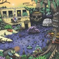 Oozing Wound - High Anxiety (Green Vinyl) in der Gruppe VINYL bei Bengans Skivbutik AB (3505383)