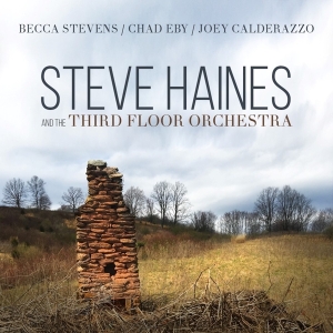 Haines Steve And The Third Floor Orchestra - Steve Haines And The Third Floor Orchestra in der Gruppe CD bei Bengans Skivbutik AB (3510922)