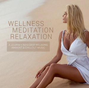 Blandade Artister - Wellness - Meditation - Relaxation in der Gruppe CD bei Bengans Skivbutik AB (3511833)