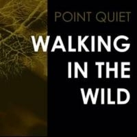 Point Quiet - Walking In The Wind in der Gruppe VINYL bei Bengans Skivbutik AB (3522497)