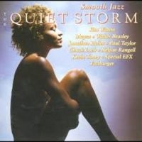 Blandade Artister - Smooth Jazz - Quiet Storm in der Gruppe CD bei Bengans Skivbutik AB (3529582)