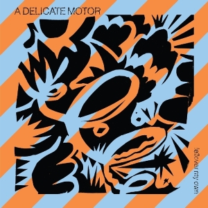 A Delicate Motor - Fellover My Own in der Gruppe VINYL bei Bengans Skivbutik AB (3558542)