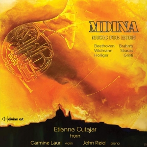 Various - Mdina - Music For Horn in der Gruppe UNSERE TIPPS / Weihnachtsgeschenktipp CD bei Bengans Skivbutik AB (3566068)