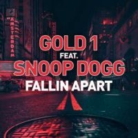 Gold 1 Feat. Snoop Dogg - Fallin' Apart in der Gruppe VINYL bei Bengans Skivbutik AB (3599351)