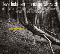 Liebman Dave & Richie Beirach - Eternal Voices in der Gruppe CD bei Bengans Skivbutik AB (3599523)