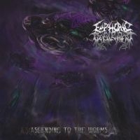 Euphoric Defilement - Ascending To The Worms in der Gruppe CD bei Bengans Skivbutik AB (3636569)