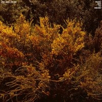 Cantu-Ledesma Jefre - Tracing Back The Radiance in der Gruppe VINYL bei Bengans Skivbutik AB (3639863)