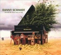 Schmidt Danny - Instead The Forest Rose To Sing in der Gruppe CD bei Bengans Skivbutik AB (3642603)