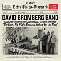 Bromberg David - Blues The Whole Blues And Nothing B in der Gruppe CD bei Bengans Skivbutik AB (3642654)