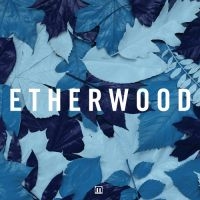 Etherwood - Blue Leaves in der Gruppe CD bei Bengans Skivbutik AB (3659197)