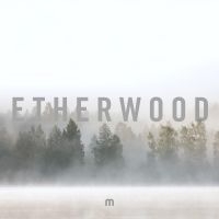 Etherwood - In Stillness in der Gruppe VINYL bei Bengans Skivbutik AB (3662089)