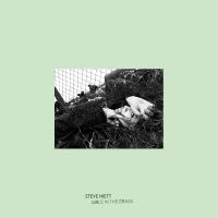 Steve Hiett - Girls In The Grass in der Gruppe Kommande produkter - 10 procent bei Bengans Skivbutik AB (3674934)