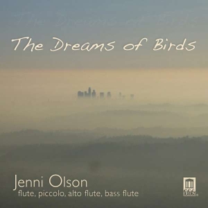 Olson - The Dreams Of Birds in der Gruppe UNSERE TIPPS / Weihnachtsgeschenktipp CD bei Bengans Skivbutik AB (3677210)