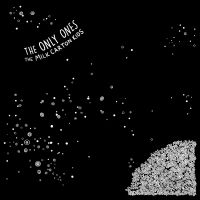 Milk Carton Kids - Only Ones in der Gruppe VINYL / Pop-Rock bei Bengans Skivbutik AB (3721321)