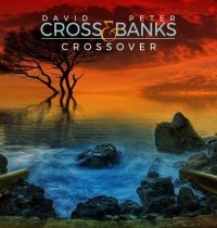 Cross David And Peter Banks - Crossover in der Gruppe CD / Pop-Rock bei Bengans Skivbutik AB (3727106)