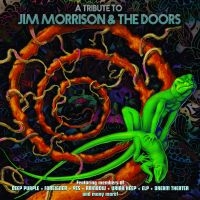 Blandade Artister - Tribute To Jim Morrison & The Doors in der Gruppe VINYL / Pop-Rock bei Bengans Skivbutik AB (3734370)