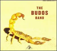 Budos Band The - The Budos Band Ii in der Gruppe VINYL / Pop-Rock,RnB-Soul bei Bengans Skivbutik AB (3742385)