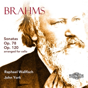 Brahms Johannes - Sonatas, Opp. 78 & 120 (Arranged Fo in der Gruppe UNSERE TIPPS / Weihnachtsgeschenktipp CD bei Bengans Skivbutik AB (3743338)