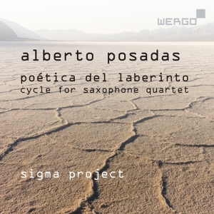 Posadas Alberto - Poetica Del Laberinto - Cycle For S in der Gruppe UNSERE TIPPS / Weihnachtsgeschenktipp CD bei Bengans Skivbutik AB (3743362)