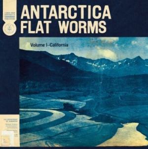 Flat Worms - Antarctica in der Gruppe MK Test 9 bei Bengans Skivbutik AB (3747649)