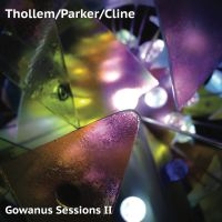 Thollem/Parker/Cline - Gowanus Sessions Ii in der Gruppe VINYL / Jazz bei Bengans Skivbutik AB (3759543)