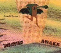 Beaten Awake - Thunderstroke in der Gruppe CD / Pop-Rock bei Bengans Skivbutik AB (3762128)