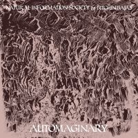 Bitchin Bajas & Natural Information - Automaginary in der Gruppe VINYL / Pop-Rock bei Bengans Skivbutik AB (3763842)