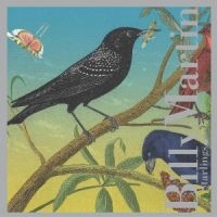 Martin Billy - Starlings in der Gruppe CD / Jazz,Pop-Rock bei Bengans Skivbutik AB (3764616)