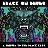 Various Artists - Black On Blues - A Tribute To The B in der Gruppe VINYL / Pop-Rock bei Bengans Skivbutik AB (3768688)