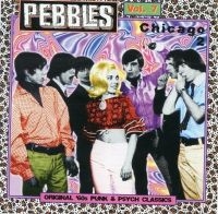 Blandade Artister - Pebbles Vol.7 in der Gruppe CD / Pop-Rock bei Bengans Skivbutik AB (3782647)