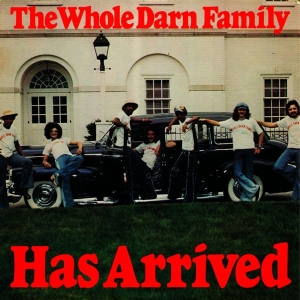 Whole Darn Family - Has Arrived in der Gruppe VINYL / Pop-Rock,RnB-Soul bei Bengans Skivbutik AB (3782955)