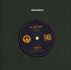 Renata Lu - Faz Tanto Tempo / Sambaloo in der Gruppe VINYL / Elektroniskt,World Music bei Bengans Skivbutik AB (3837059)