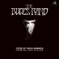 Budos Band The - Long In The Tooth in der Gruppe UNSERE TIPPS / Weihnachtsgeschenktipp Vinyl bei Bengans Skivbutik AB (3894424)