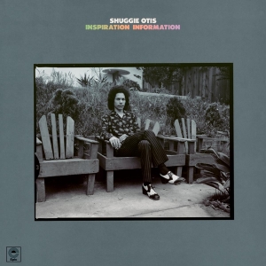 Shuggie Otis - Inspiration Information in der Gruppe UNSERE TIPPS / Weihnachtsgeschenktipp Vinyl bei Bengans Skivbutik AB (3899484)