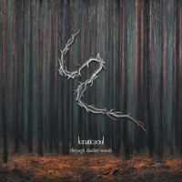 Lunatic Soul - Through Shaded Woods in der Gruppe UNSERE TIPPS / Weihnachtsgeschenktipp CD bei Bengans Skivbutik AB (3900174)