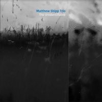 Shipp Matthew (Trio) - Unidentifiable in der Gruppe UNSERE TIPPS / Årsbästalistor 2020 / JazzTimes 2020 bei Bengans Skivbutik AB (3901184)