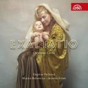 Various - Musica Bohemica: Exaltatio - Christ in der Gruppe UNSERE TIPPS / Weihnachtsgeschenktipp CD bei Bengans Skivbutik AB (3902304)