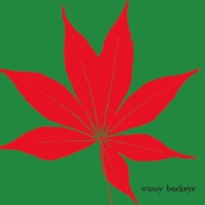 Wussy - Buckeye in der Gruppe CD / Pop-Rock bei Bengans Skivbutik AB (3917820)