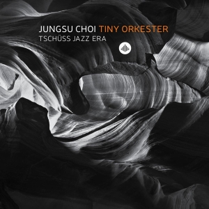 Jungsu -Tiny Orkester- Choi - Tschuss Jazz Era in der Gruppe CD / Jazz bei Bengans Skivbutik AB (3922941)