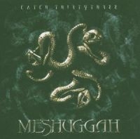 Meshuggah - Catch Thirty Three in der Gruppe UNSERE TIPPS / Weihnachtsgeschenktipp CD bei Bengans Skivbutik AB (3925030)