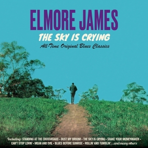 Elmore James - Sky Is Crying in der Gruppe UNSERE TIPPS / Weihnachtsgeschenktipp CD bei Bengans Skivbutik AB (3925080)