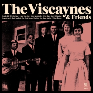 Viscaynes - Viscaynes & Friends in der Gruppe UNSERE TIPPS / Weihnachtsgeschenktipp Vinyl bei Bengans Skivbutik AB (3925625)